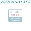 VUSM-MS-1Y-1K-24= подробнее