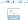 L-NMUC1.1-250-LIC подробнее