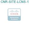CNR-SITE-LCNS-1YR= подробнее