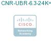 CNR-UBR-6.3-24K= подробнее