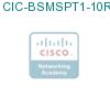CIC-BSMSPT1-10RVU подробнее