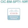 CIC-BM-SPT1-10RVU подробнее