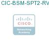 CIC-BSM-SPT2-RVUNP подробнее