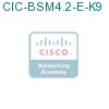 CIC-BSM4.2-E-K9 подробнее