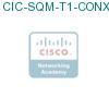 CIC-SQM-T1-CONX-NP подробнее