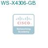 WS-X4306-GB подробнее