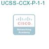 UCSS-CCX-P-1-1 подробнее