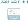 UCSS-CCX-P-1M-1 подробнее