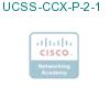 UCSS-CCX-P-2-1 подробнее