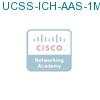 UCSS-ICH-AAS-1M-1 подробнее
