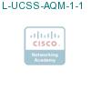 L-UCSS-AQM-1-1 подробнее
