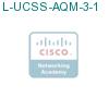 L-UCSS-AQM-3-1 подробнее