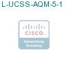 L-UCSS-AQM-5-1 подробнее