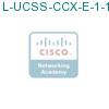 L-UCSS-CCX-E-1-1 подробнее