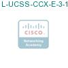 L-UCSS-CCX-E-3-1 подробнее