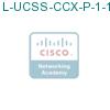 L-UCSS-CCX-P-1-1 подробнее