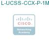 L-UCSS-CCX-P-1M-1 подробнее