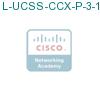 L-UCSS-CCX-P-3-1 подробнее