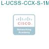 L-UCSS-CCX-S-1M-1 подробнее