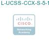 L-UCSS-CCX-S-5-1 подробнее