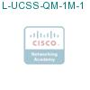 L-UCSS-QM-1M-1 подробнее