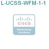 L-UCSS-WFM-1-1 подробнее