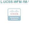 L-UCSS-WFM-1M-1 подробнее