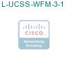 L-UCSS-WFM-3-1 подробнее