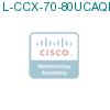 L-CCX-70-80UCAQMS1 подробнее