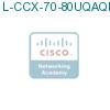 L-CCX-70-80UQAQMS1 подробнее