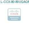 L-CCX-80-80UQAQMS1 подробнее