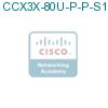 CCX3X-80U-P-P-S1 подробнее