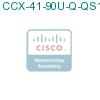 CCX-41-90U-Q-QS1 подробнее