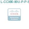 L-CCX80-90U-P-P-S1 подробнее