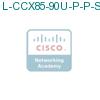 L-CCX85-90U-P-P-S1 подробнее