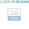 L-CCX-70-90UQAQMS1 подробнее
