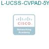L-UCSS-CVPAD-5Y подробнее