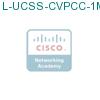 L-UCSS-CVPCC-1M подробнее