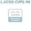 L-UCSS-CVPQ-1M подробнее