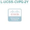 L-UCSS-CVPQ-2Y подробнее