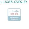 L-UCSS-CVPQ-5Y подробнее