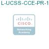 L-UCSS-CCE-PR-1-1 подробнее