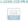 L-UCSS-CCE-PR-5-1 подробнее