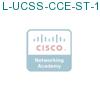 L-UCSS-CCE-ST-1M-1 подробнее