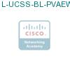 L-UCSS-BL-PVAEW-1M подробнее