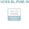 UCSS-BL-PVAE-1M подробнее