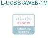 L-UCSS-AWEB-1M подробнее