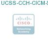 UCSS-CCH-CICM-5-1 подробнее