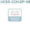 UCSS-CCH-DP-1M-1 подробнее