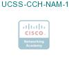 UCSS-CCH-NAM-1-1 подробнее